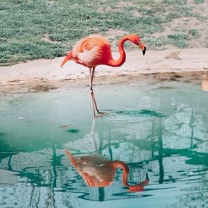 Meet your Posher, Abbrianna